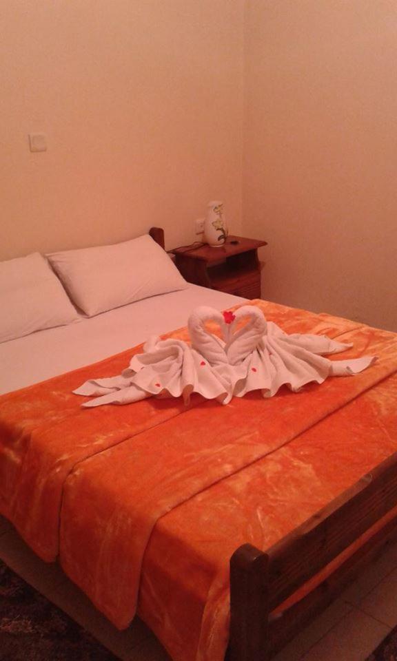 Dimitra Apartments Zakros City Room photo