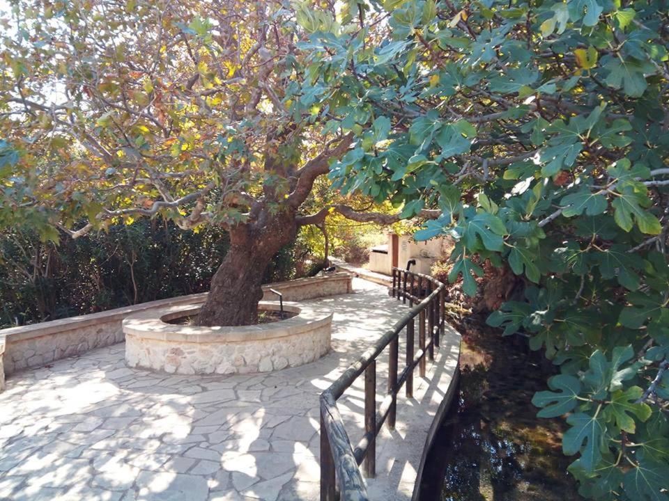 Dimitra Apartments Zakros City Exterior photo